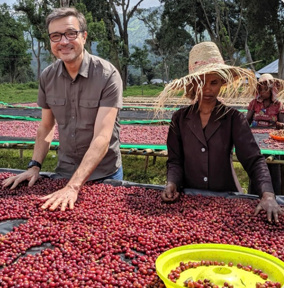 Single Origin