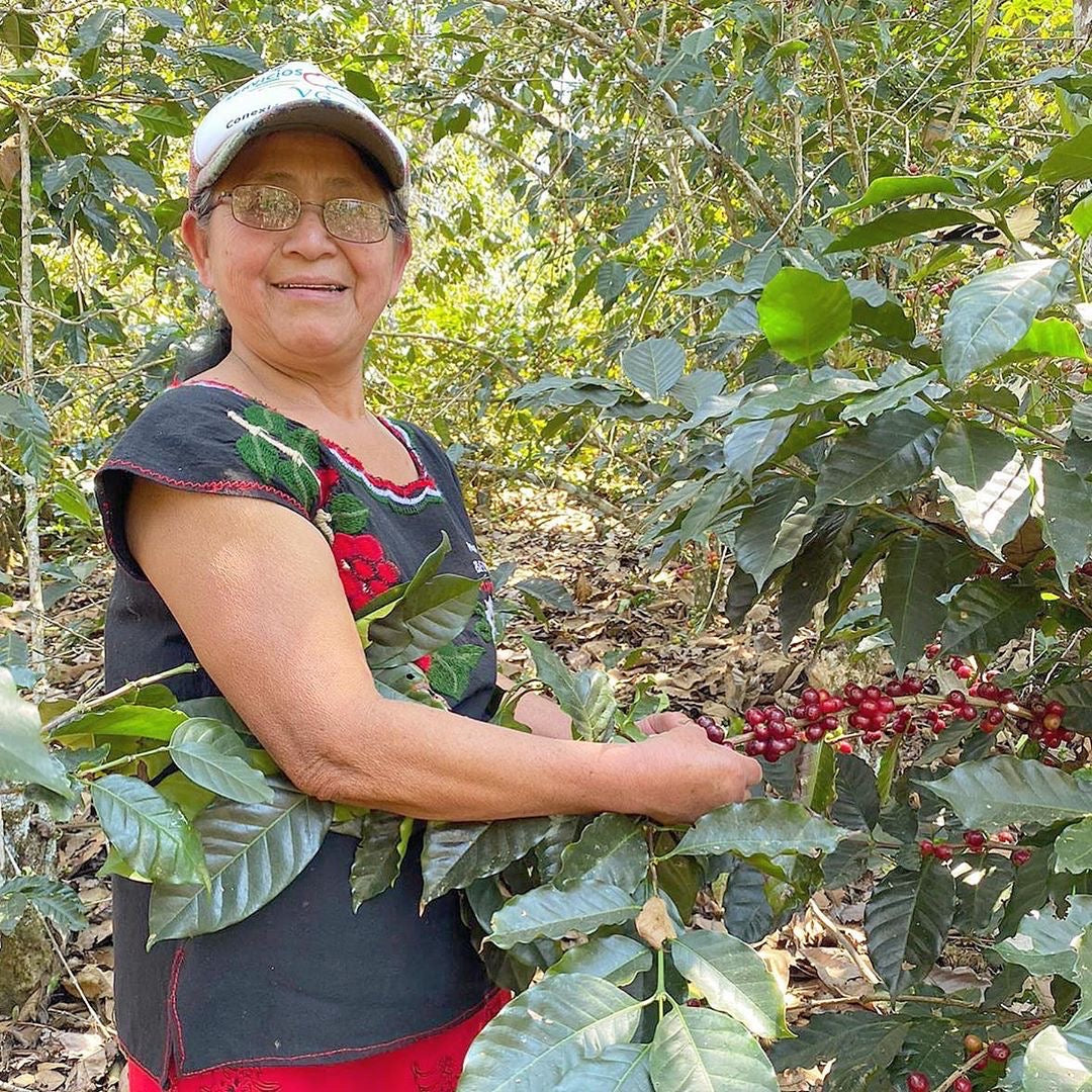 A smiling woman wearing a white cap and glasses stands in a coffee plantation, holding a branch of ripe red coffee cherries among green leaves.