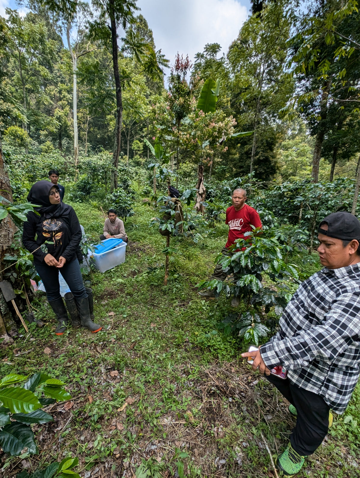 Group of people in a forested area with coffee plants and a cooler.